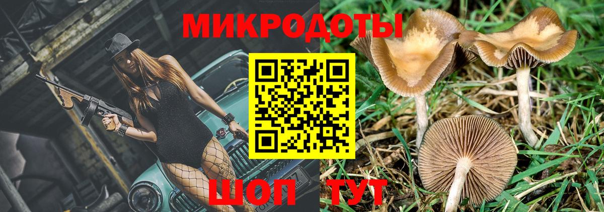 Галлюциногенные грибы прущие грибы  Вход с VPN  Бийск 